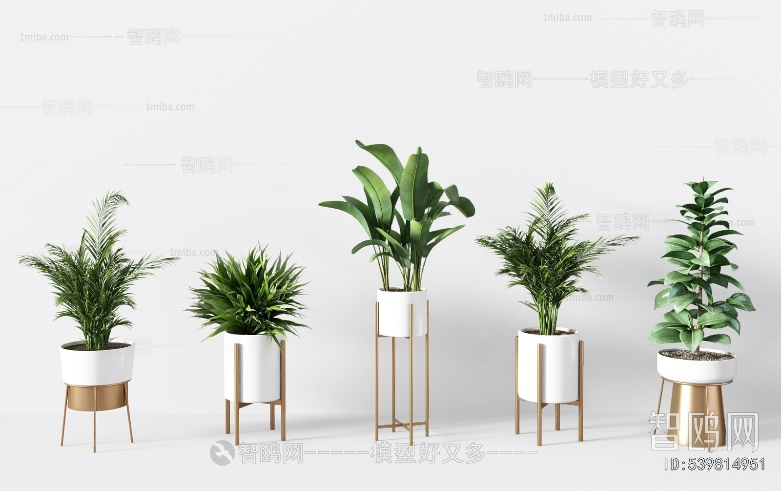 Modern Potted Green Plant