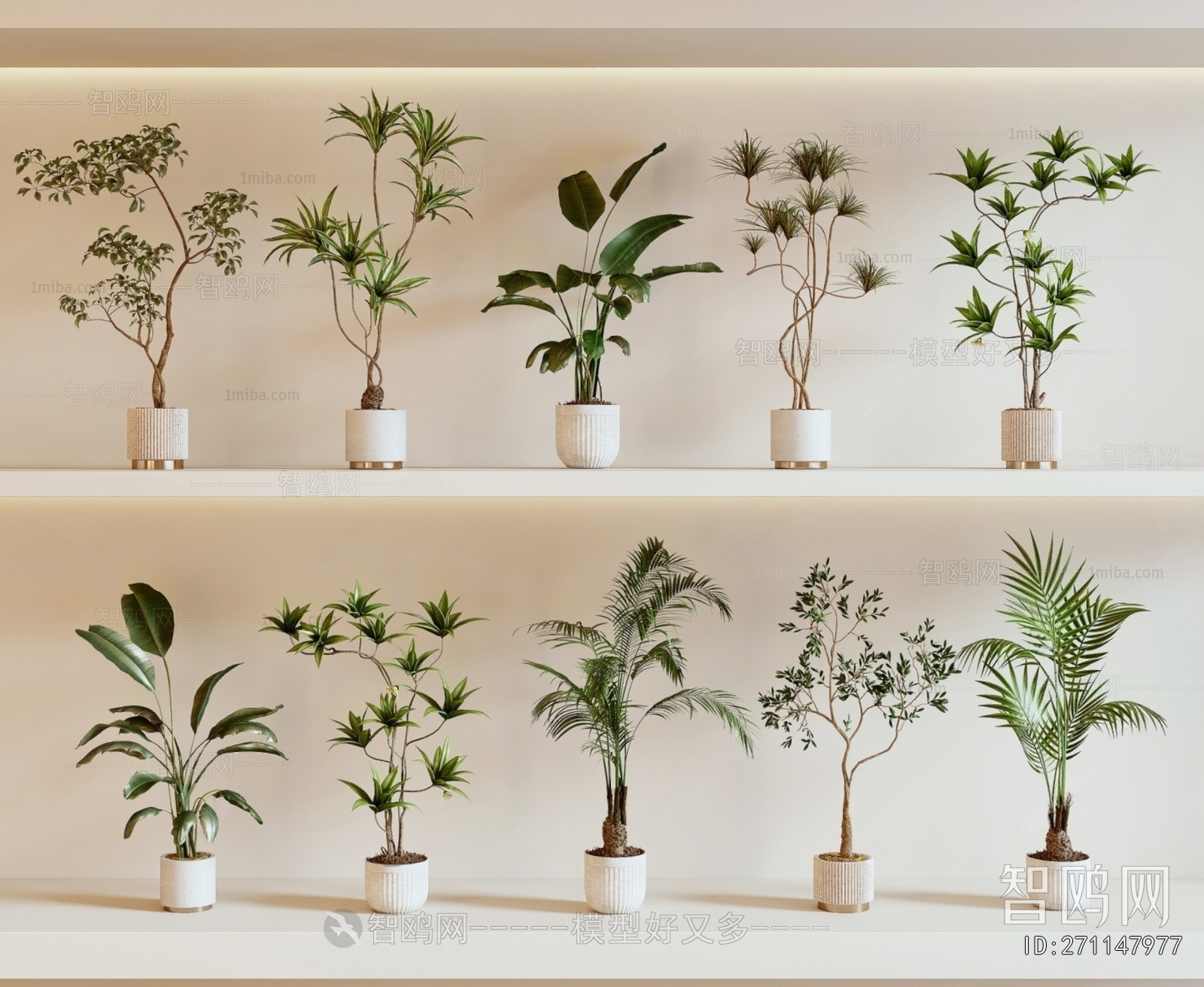 Modern Ground Green Plant Potted Plants