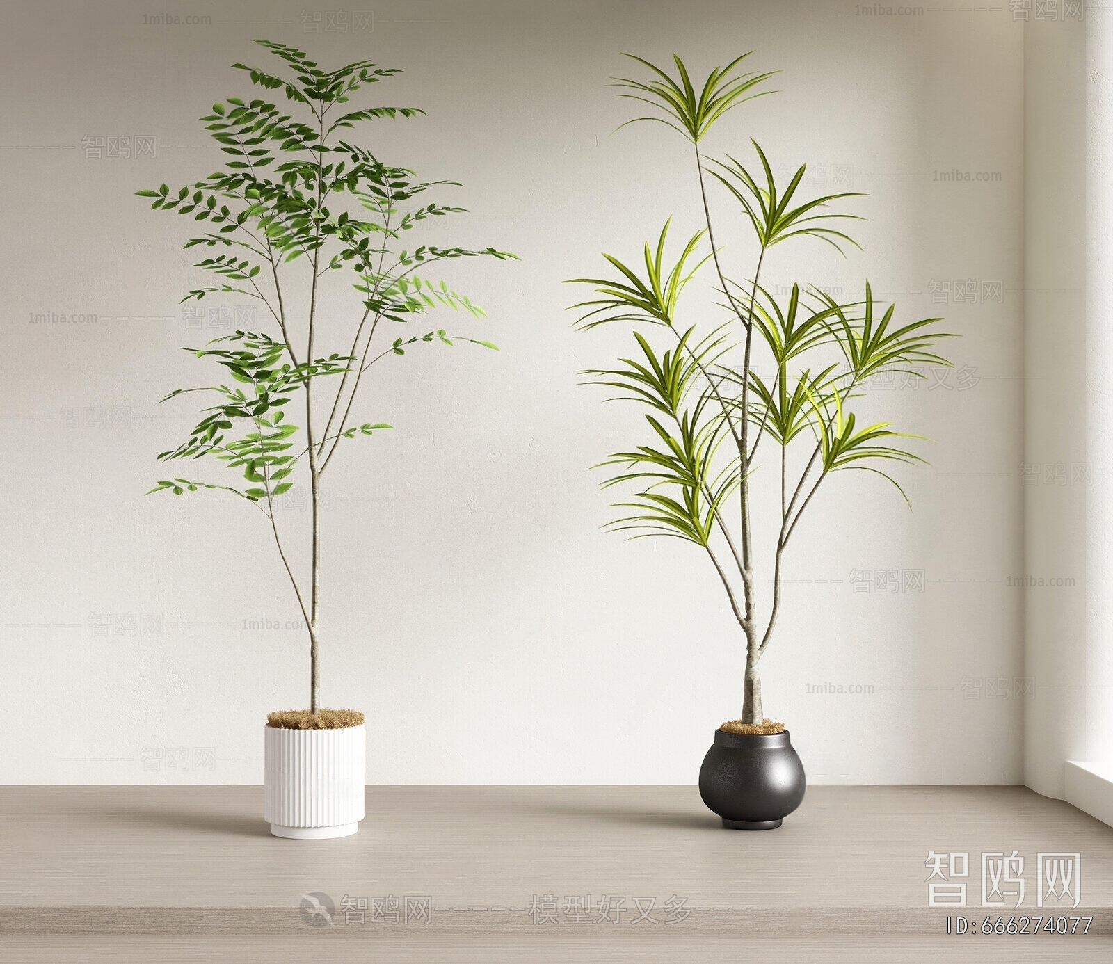 Modern Ground Green Plant Potted Plants