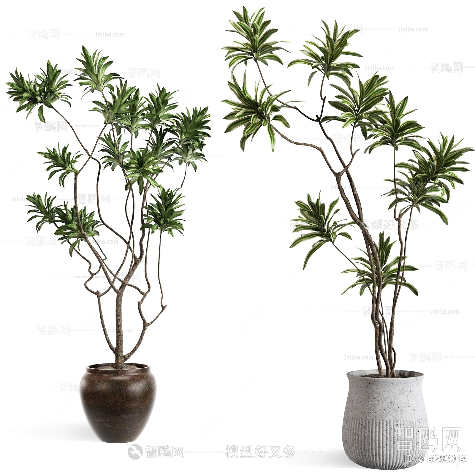 Modern Ground Green Plant Potted Plants