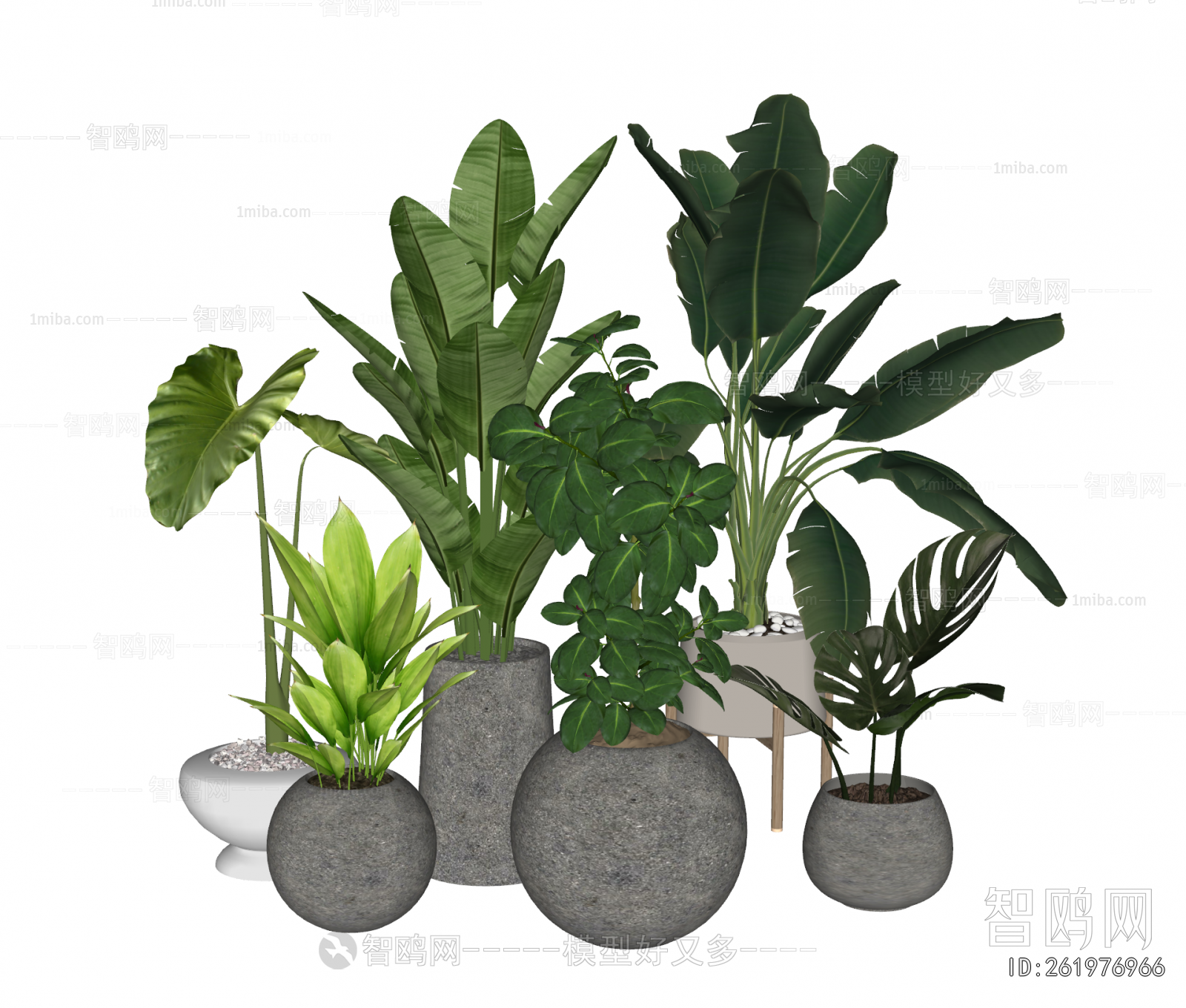 Modern Ground Green Plant Potted Plants