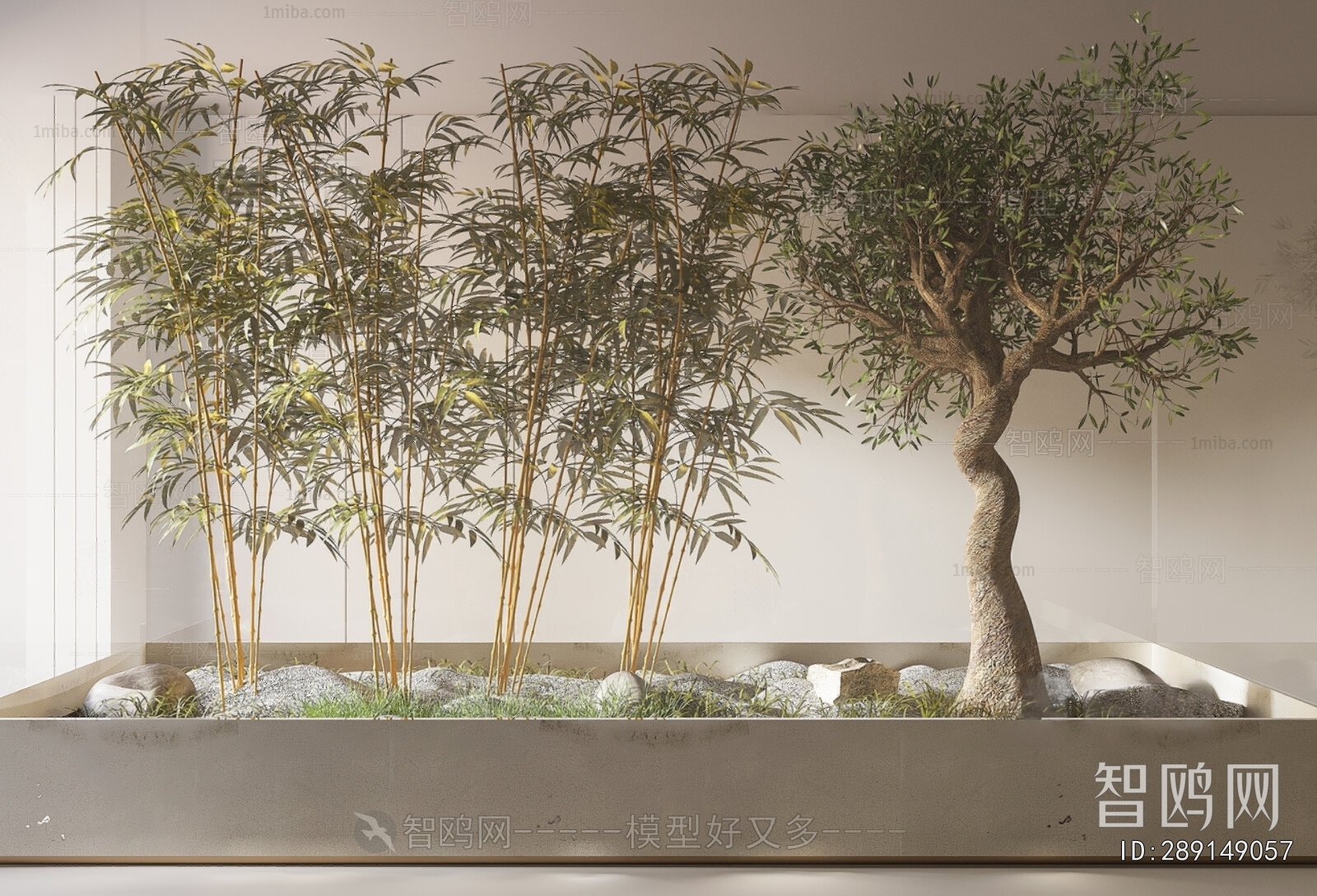 Modern Plant Landscaping