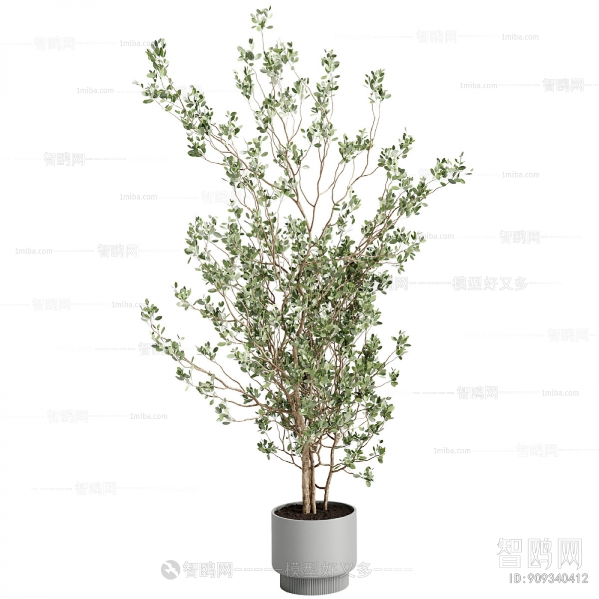 Modern Ground Green Plant Potted Plants