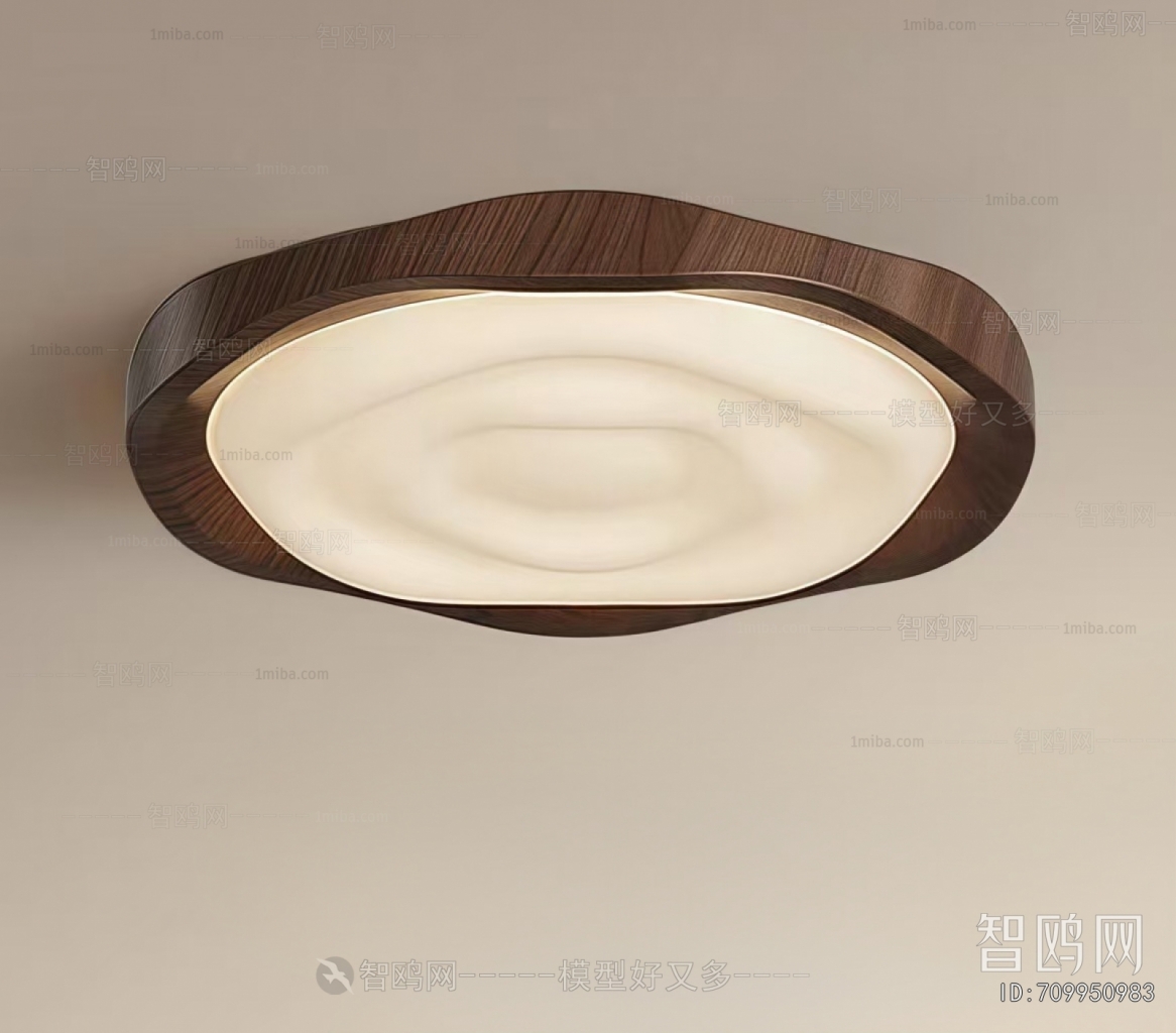 Modern Ceiling Ceiling Lamp