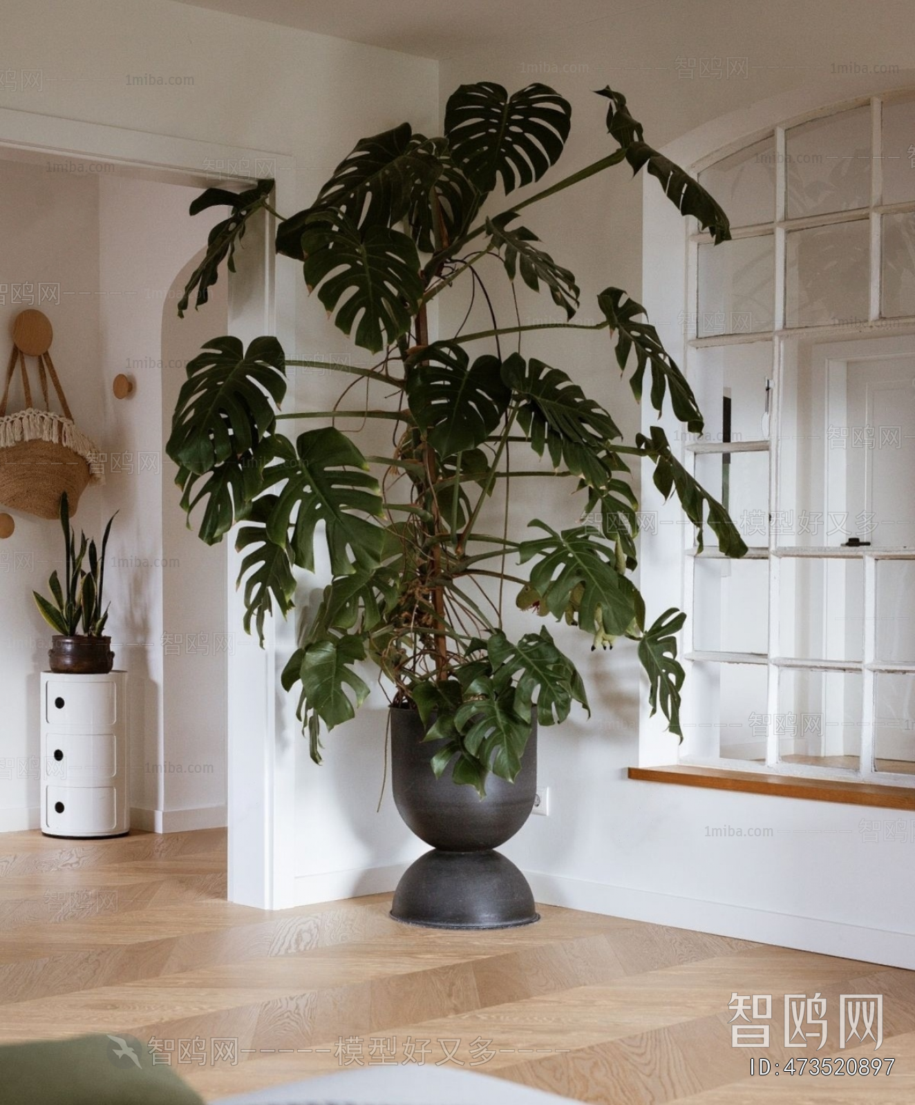 Modern Ground Green Plant Potted Plants