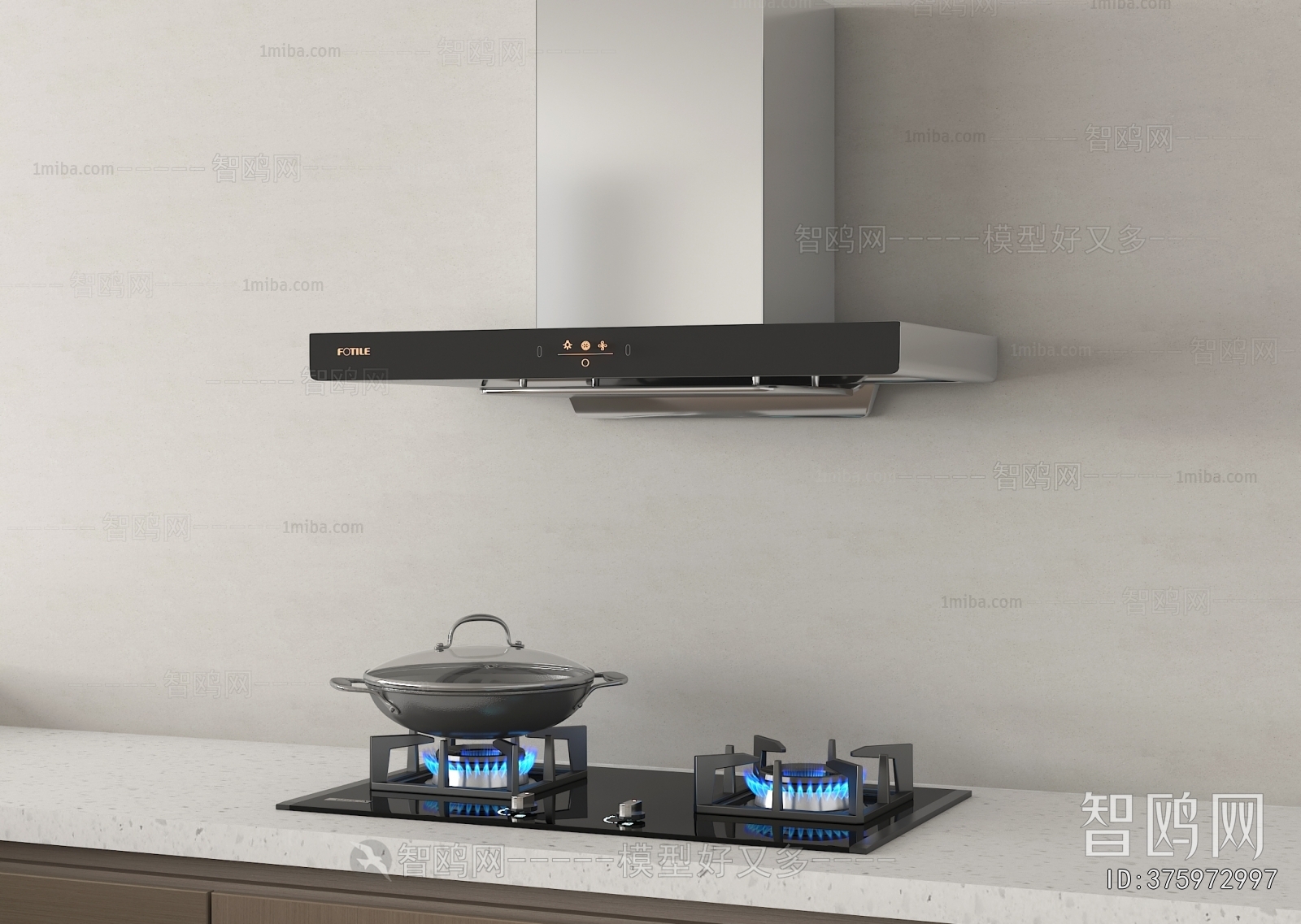 Modern Kitchen Electric Gas Range