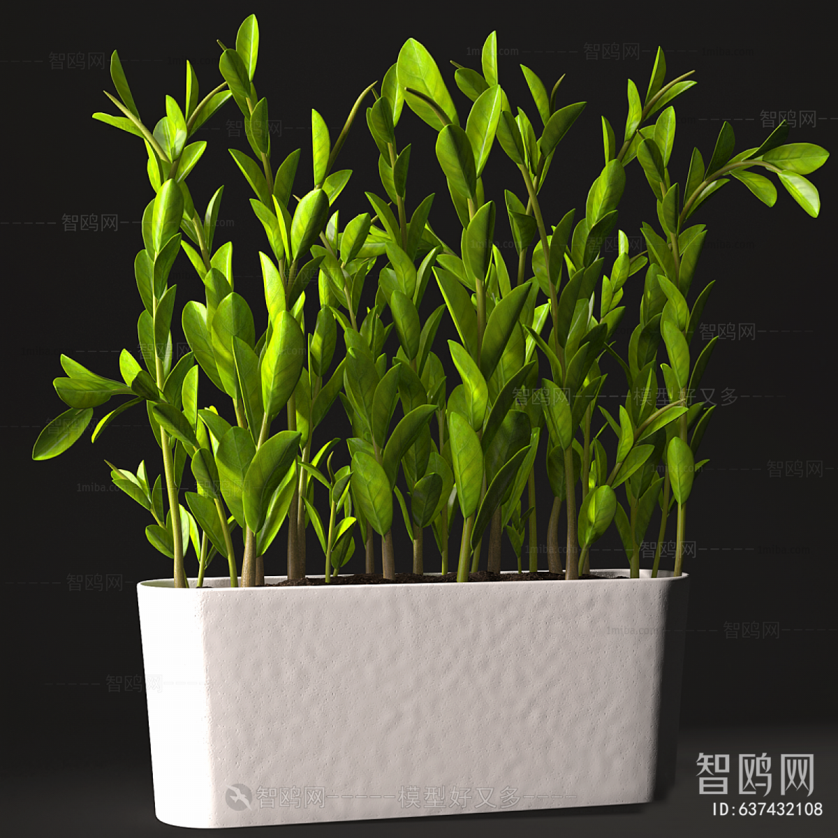 Modern Potted Green Plant