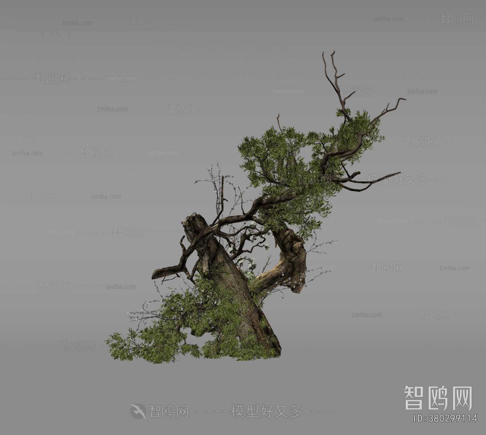 Wabi-sabi Style Plant Landscaping