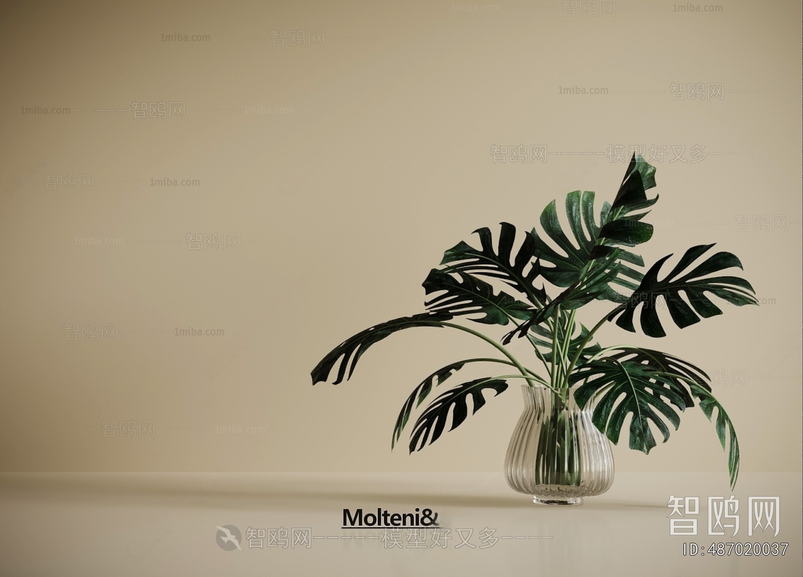Modern Ground Green Plant Potted Plants