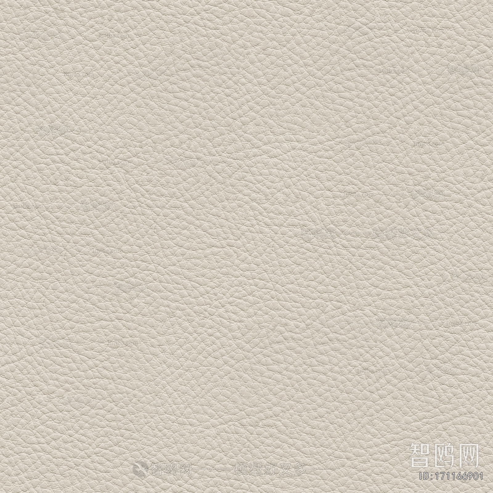 Rough Grain Leather
