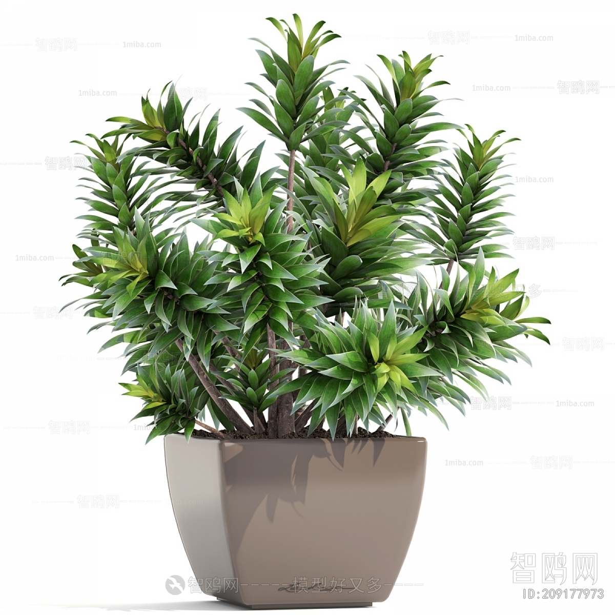 Modern Ground Green Plant Potted Plants