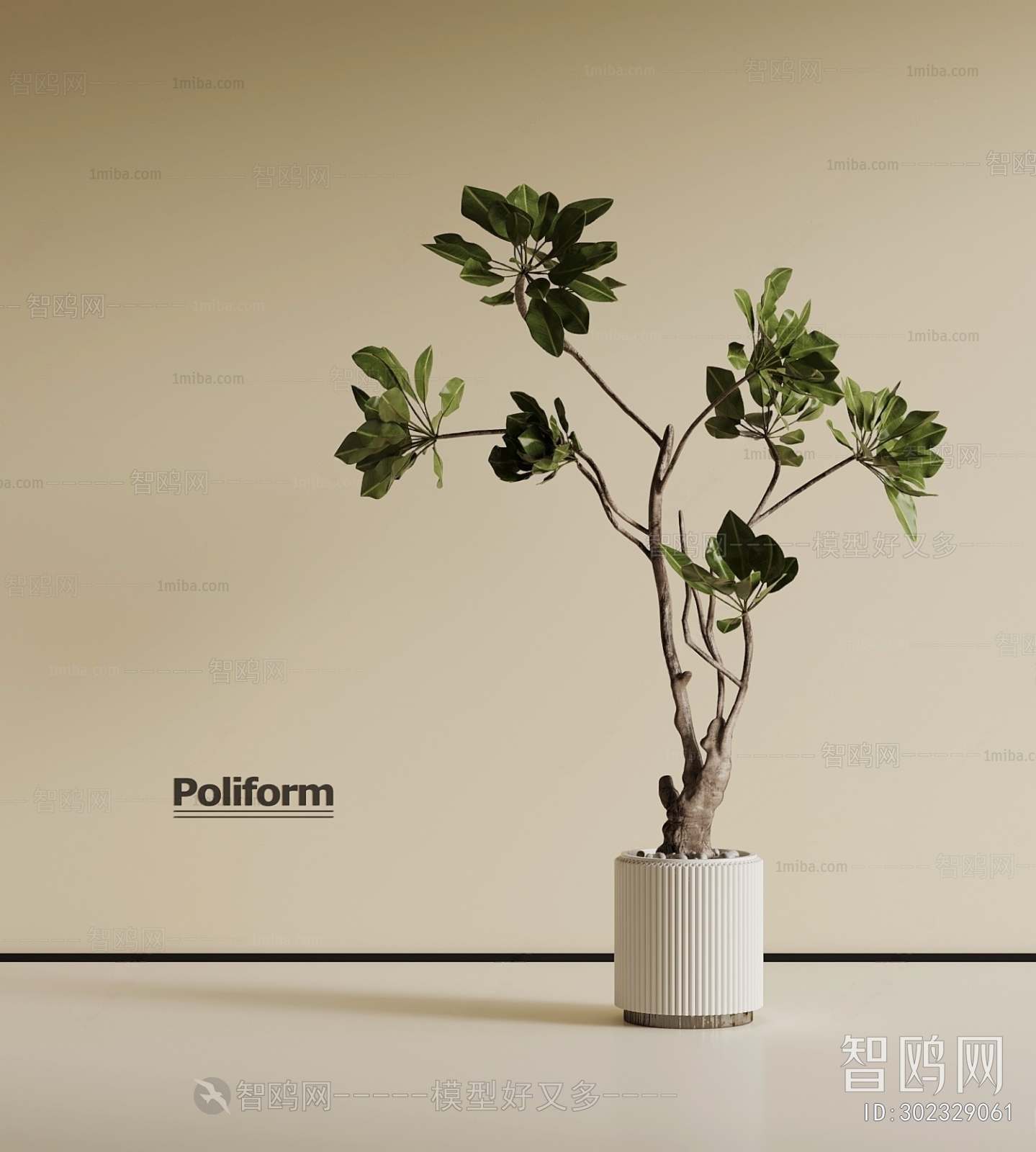 Modern Ground Green Plant Potted Plants