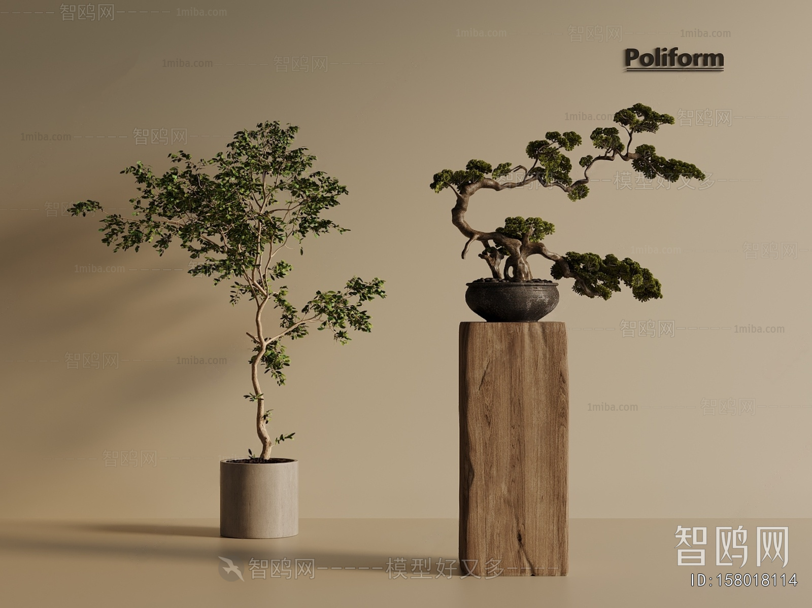 Modern Ground Green Plant Potted Plants