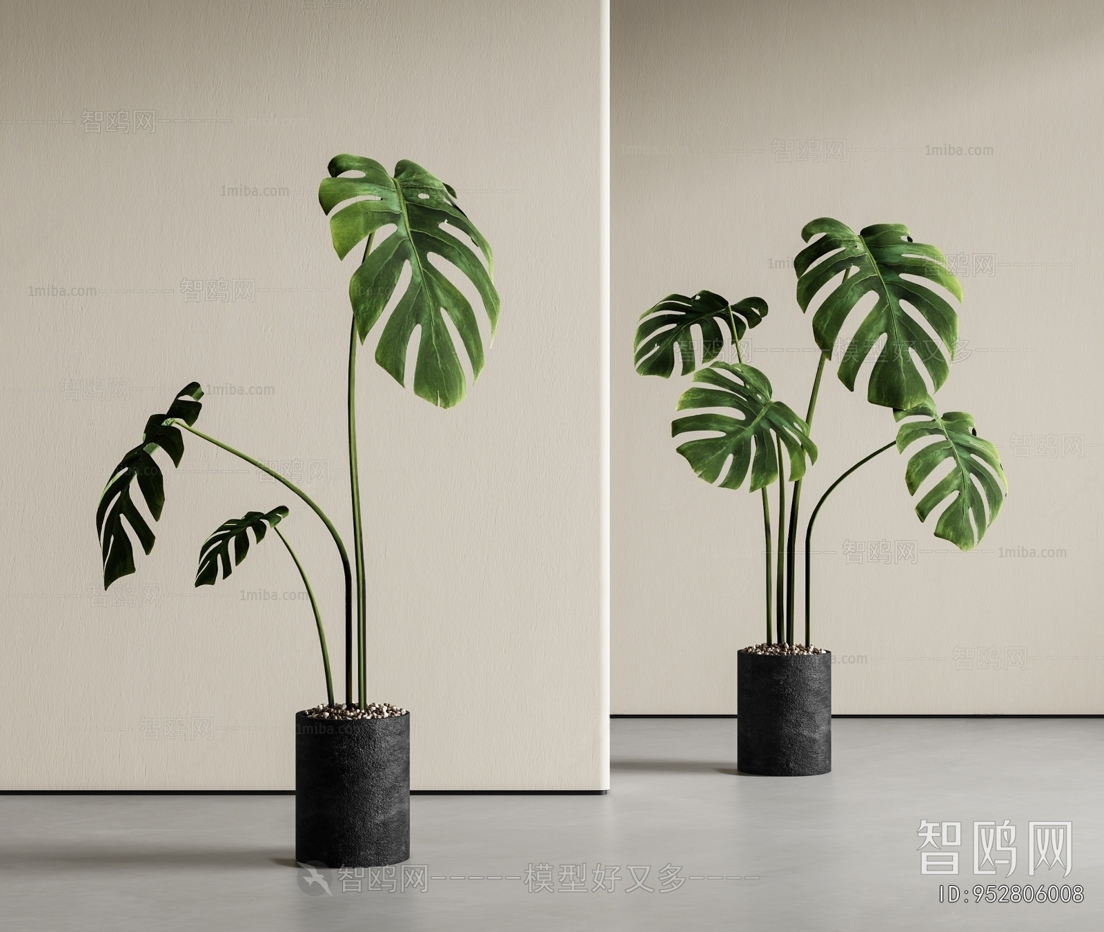 Modern Ground Green Plant Potted Plants