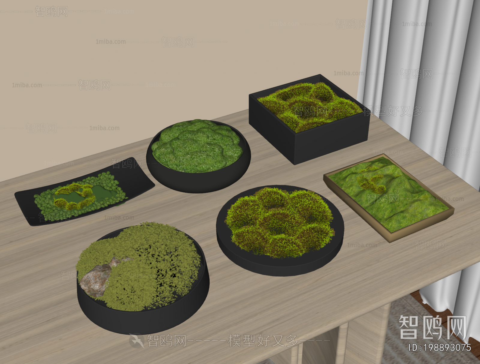 Modern Potted Green Plant