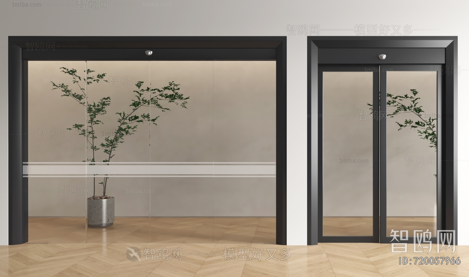 Modern Door