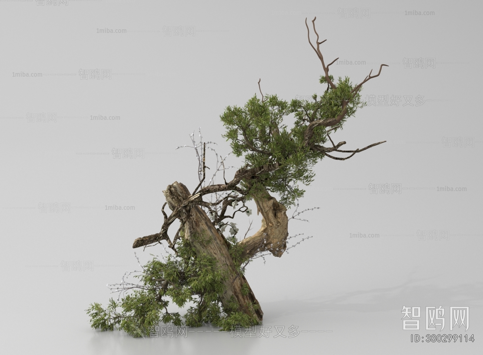 Wabi-sabi Style Plant Landscaping