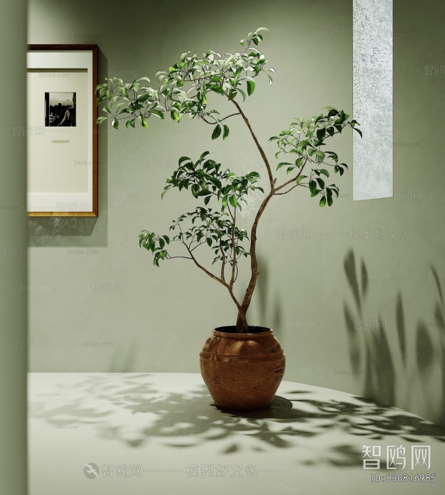 Modern Ground Green Plant Potted Plants