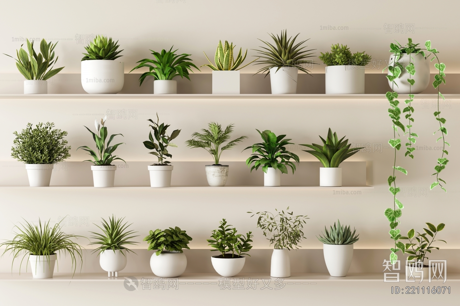 Modern Potted Green Plant