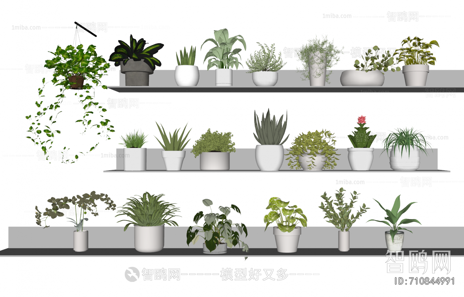 Modern Potted Green Plant