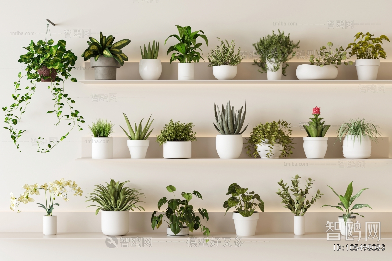 Modern Desktop Plant