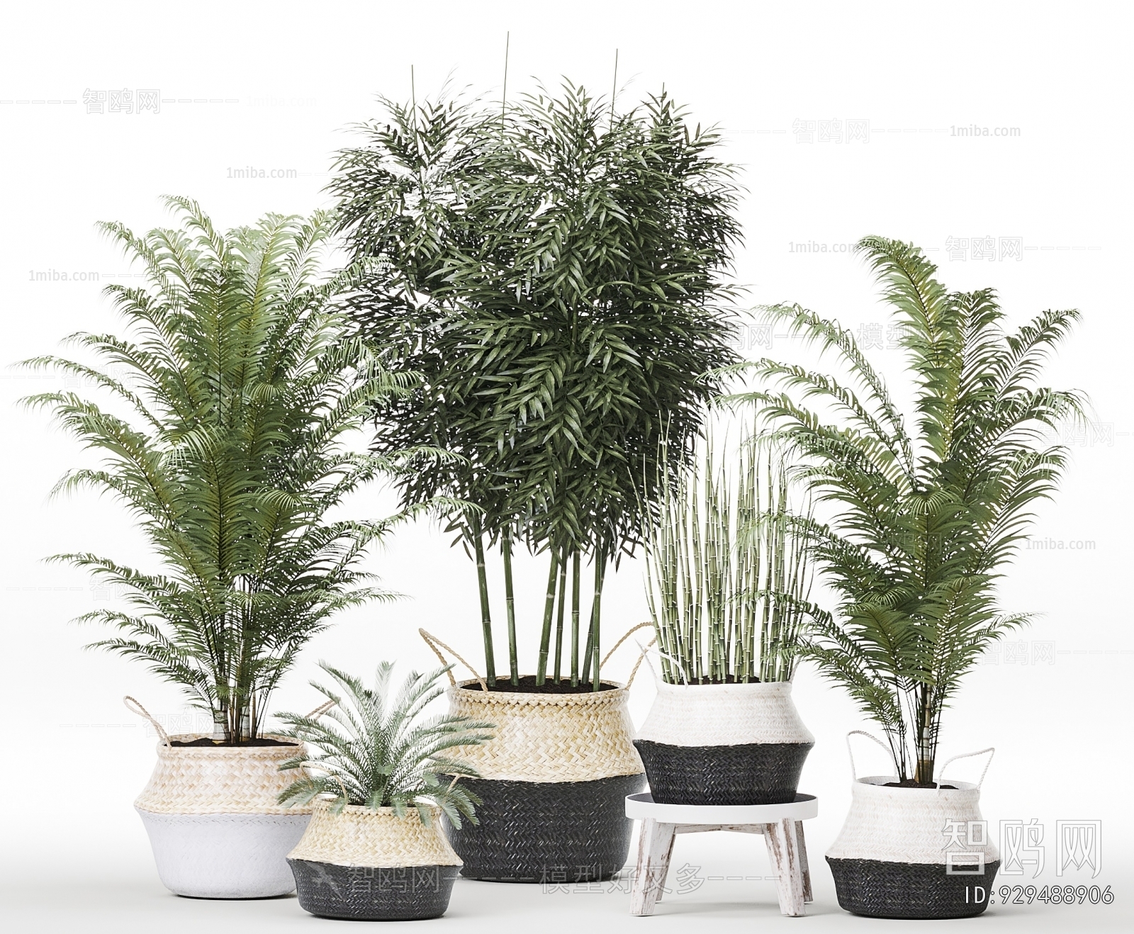 Modern Ground Green Plant Potted Plants