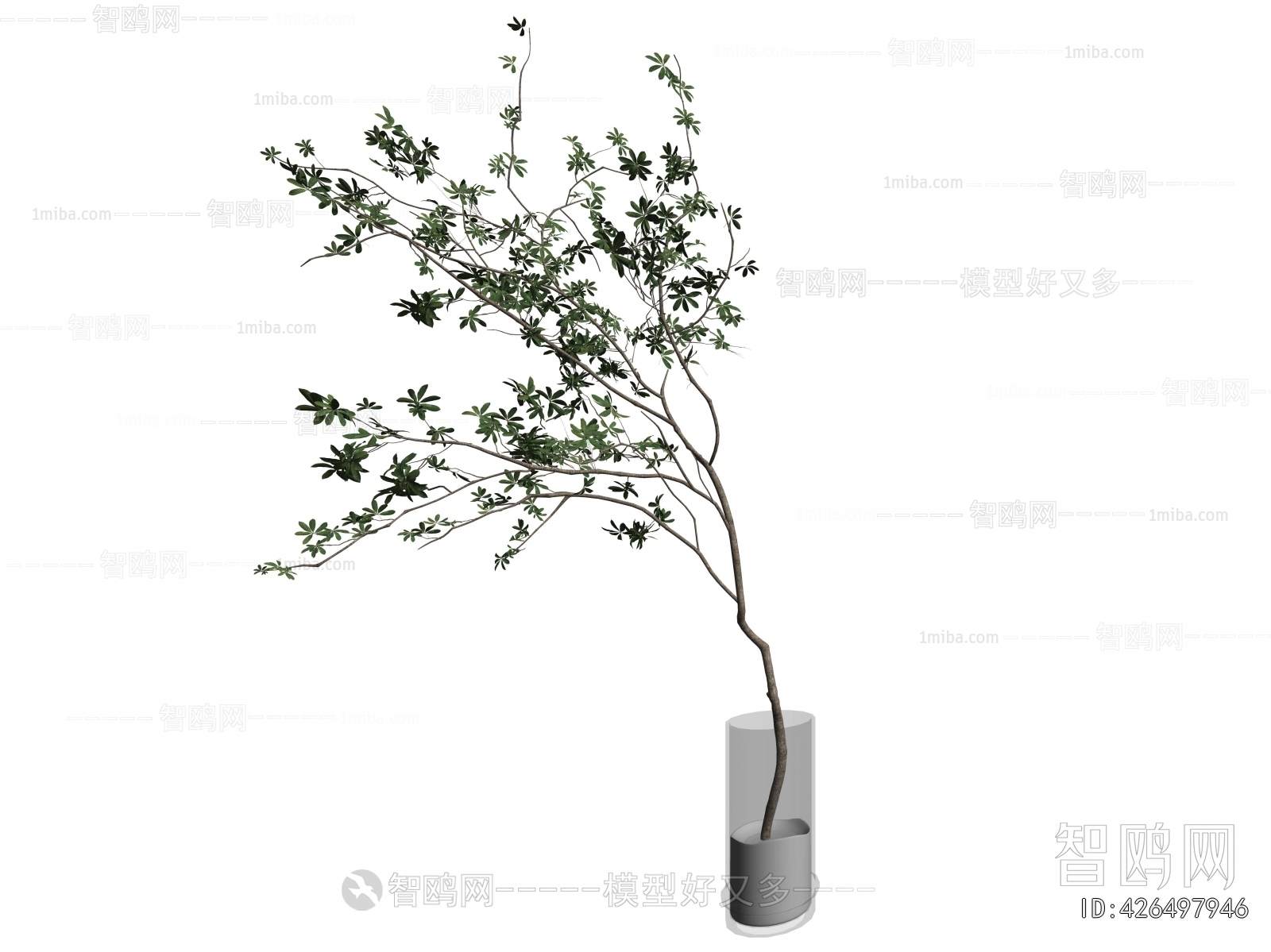 Modern Aquatic Green Plant