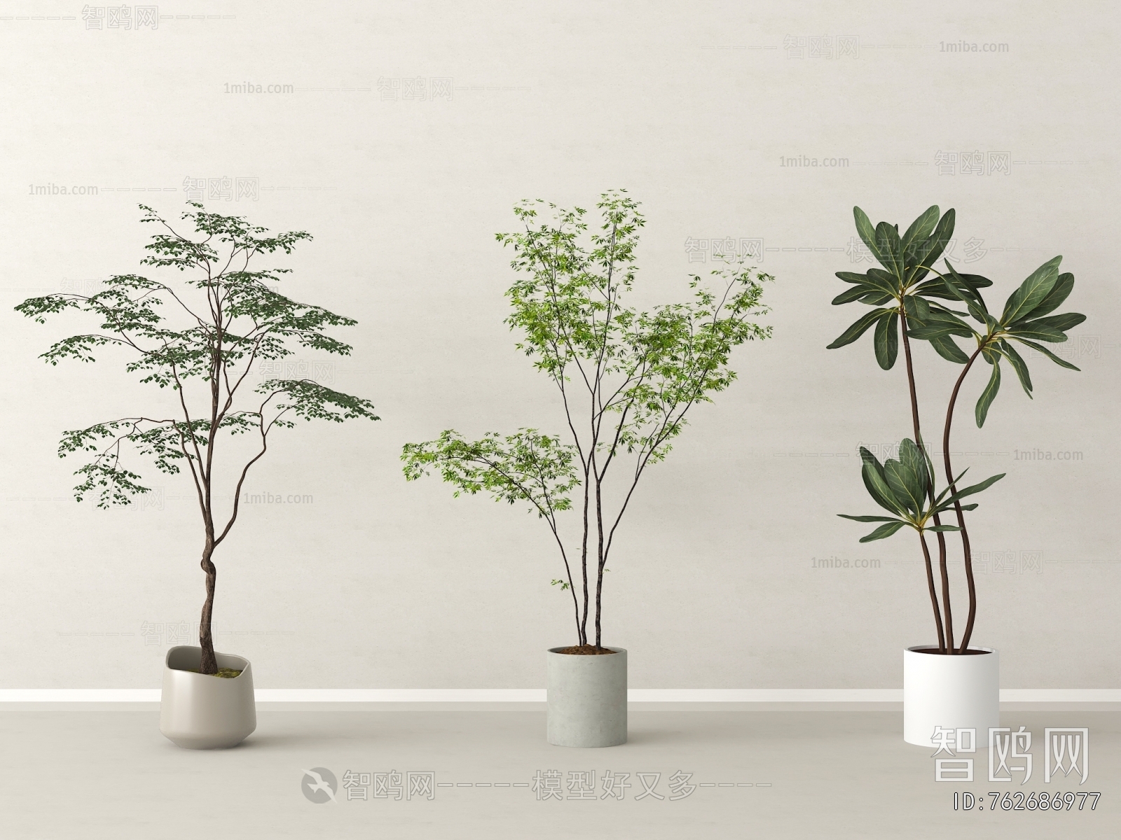 Modern Ground Green Plant Potted Plants