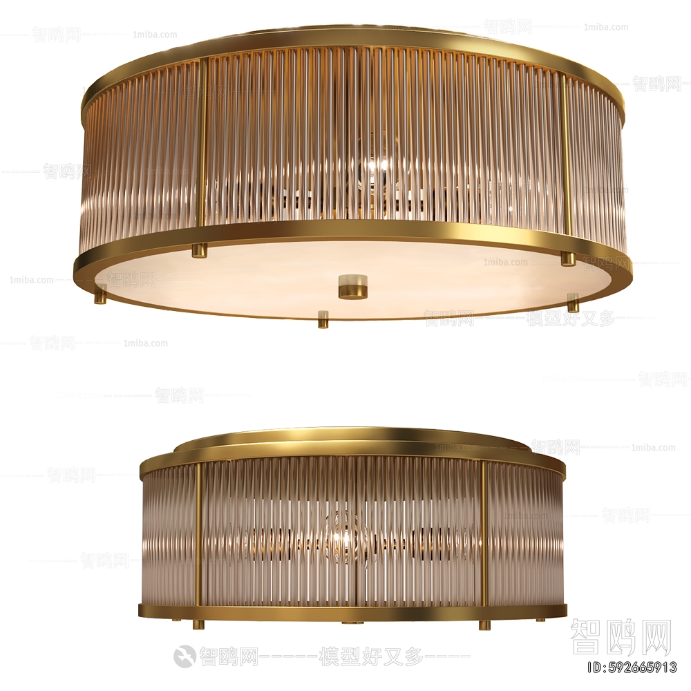 Modern Ceiling Ceiling Lamp