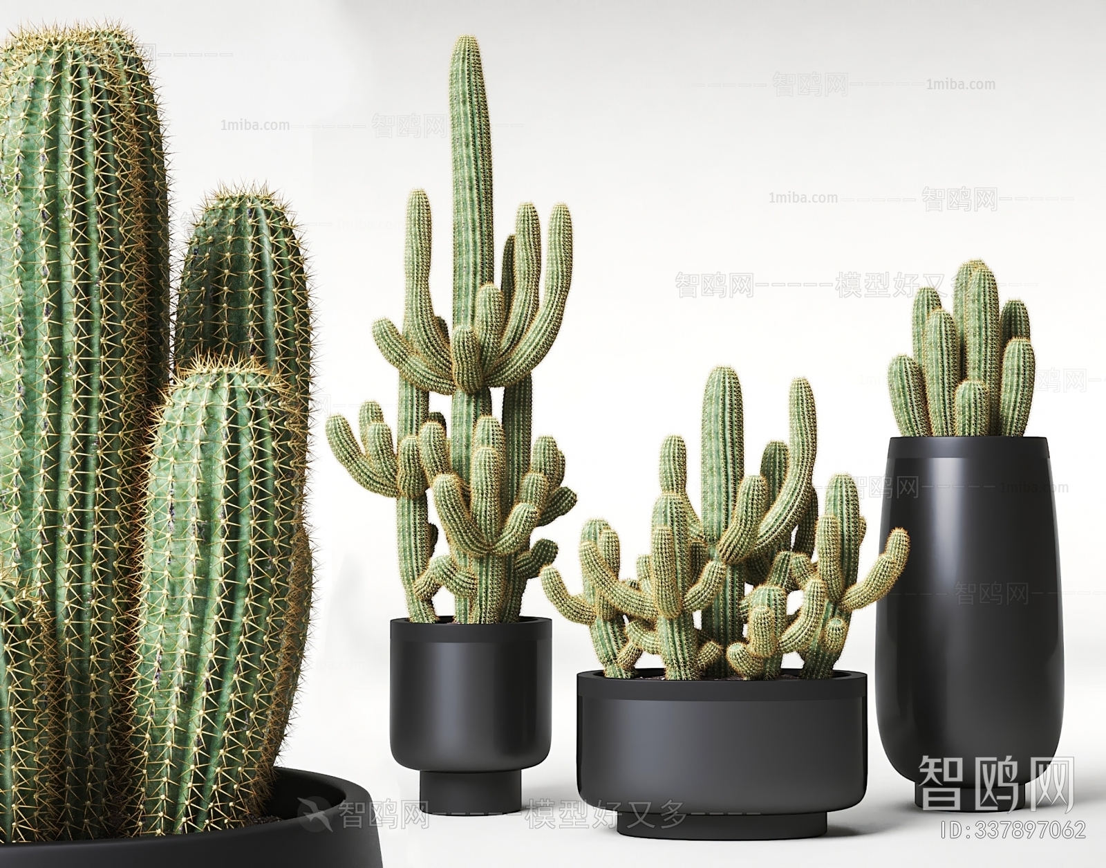 Modern Potted Green Plant