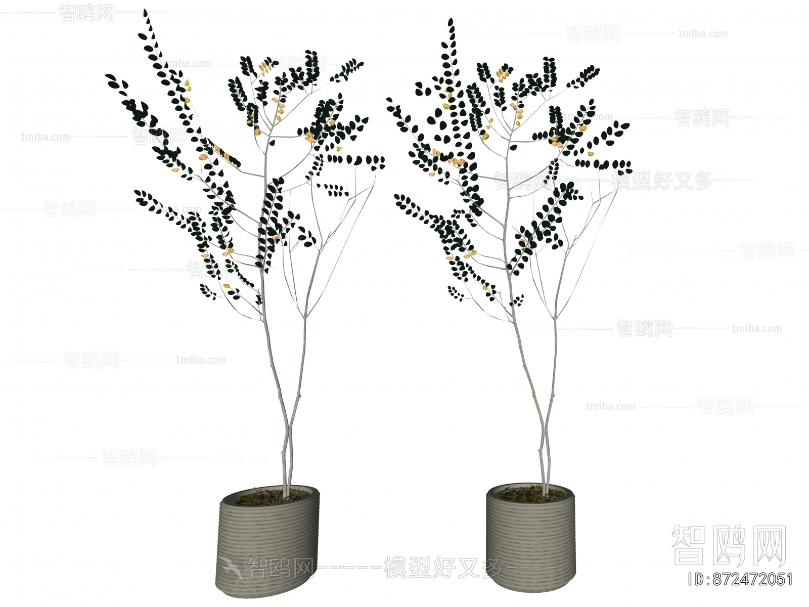 Modern Ground Green Plant Potted Plants
