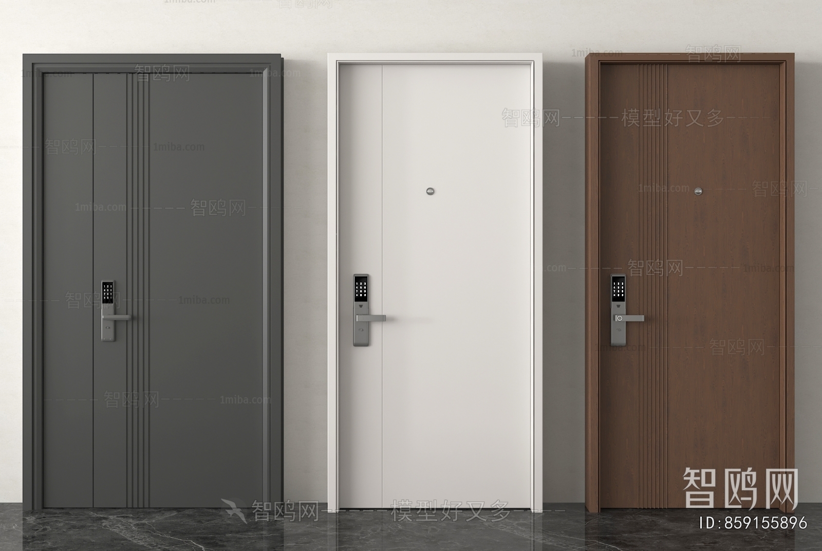 Modern Entrance Door