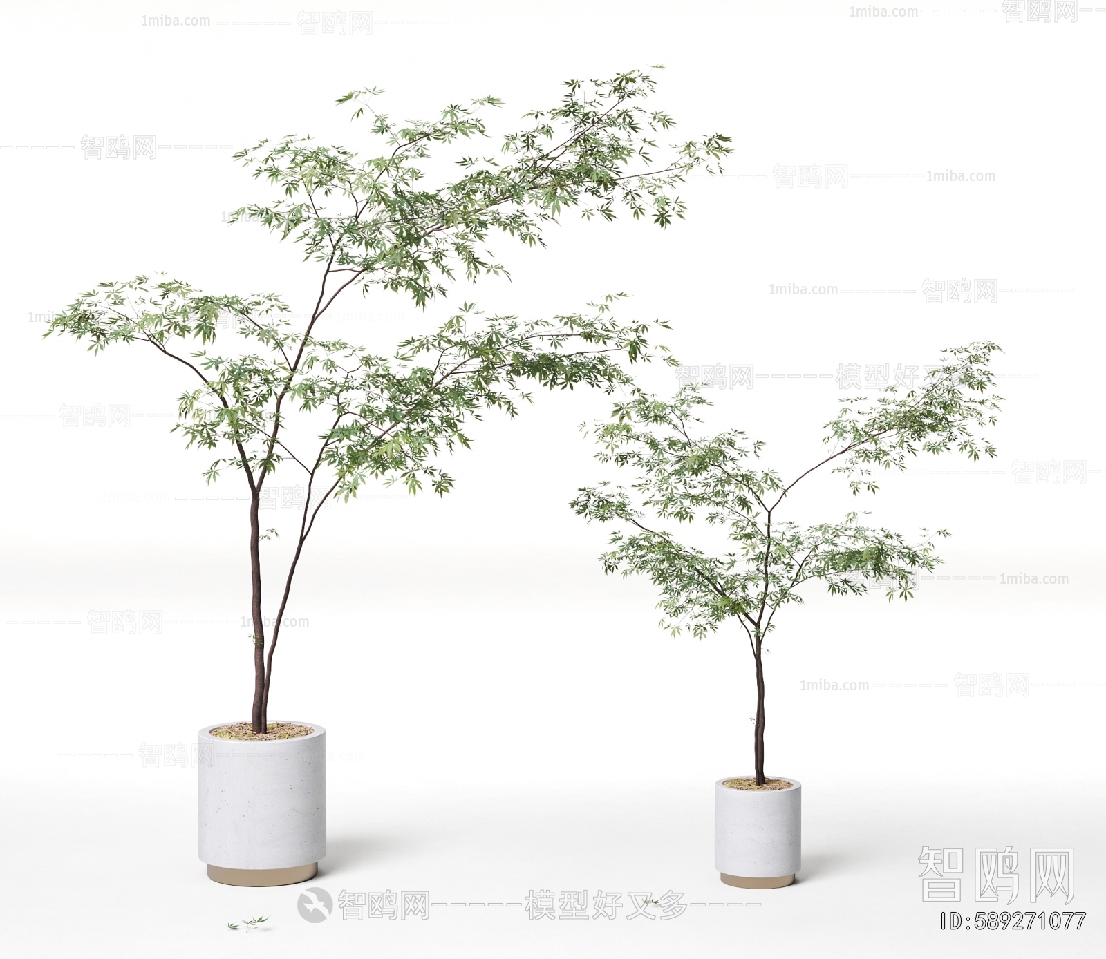 Modern Ground Green Plant Potted Plants