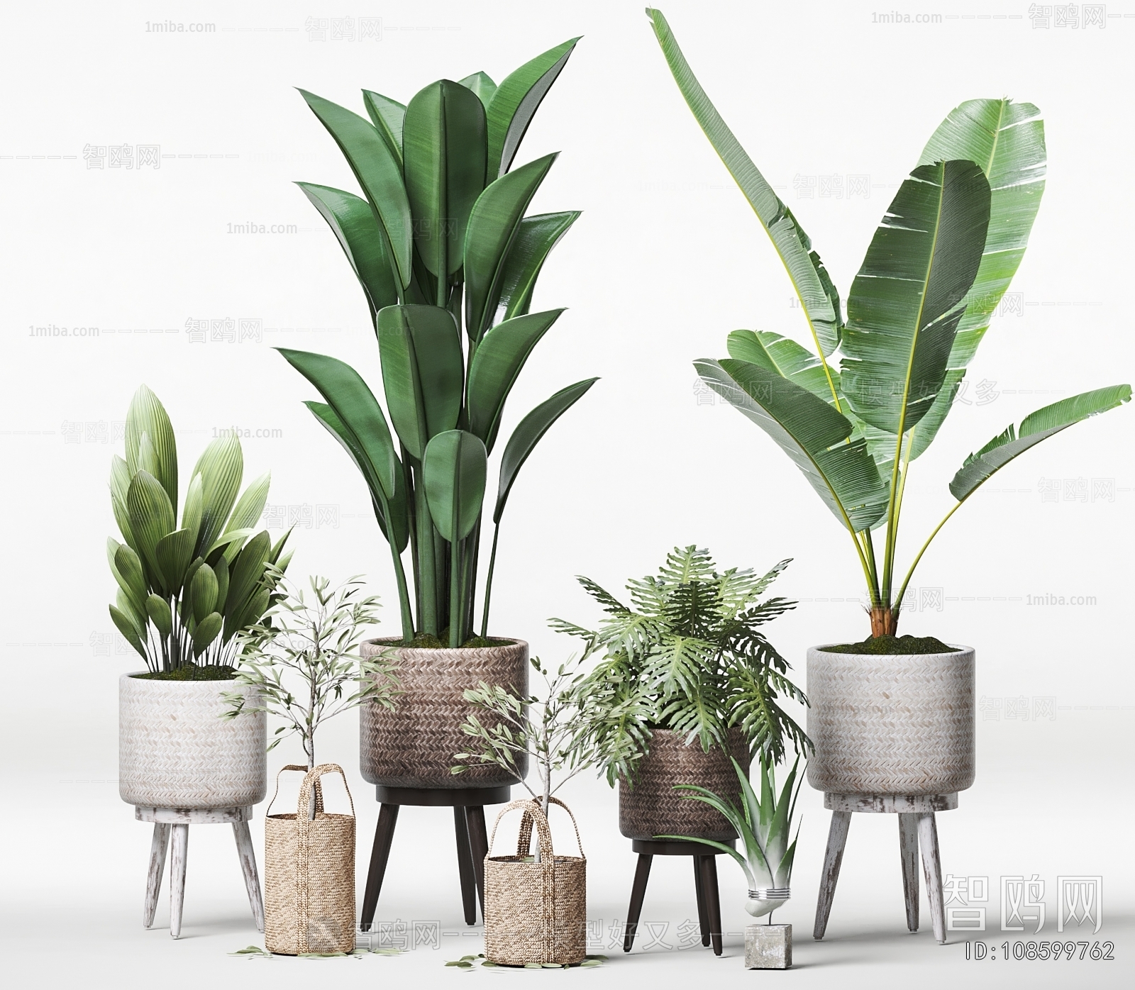 Modern Ground Green Plant Potted Plants