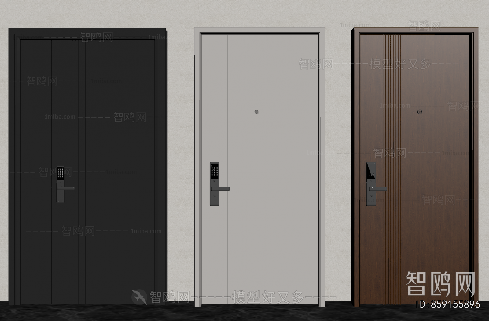 Modern Entrance Door