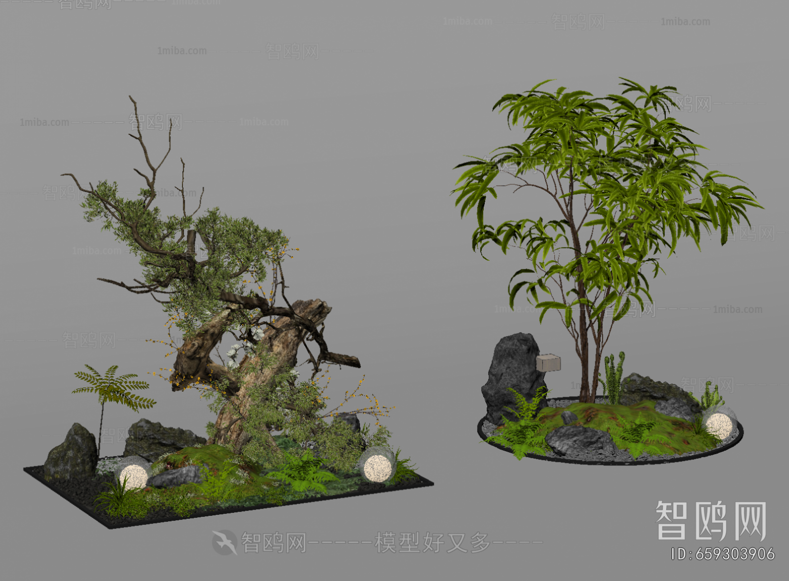 Modern Plant Landscaping