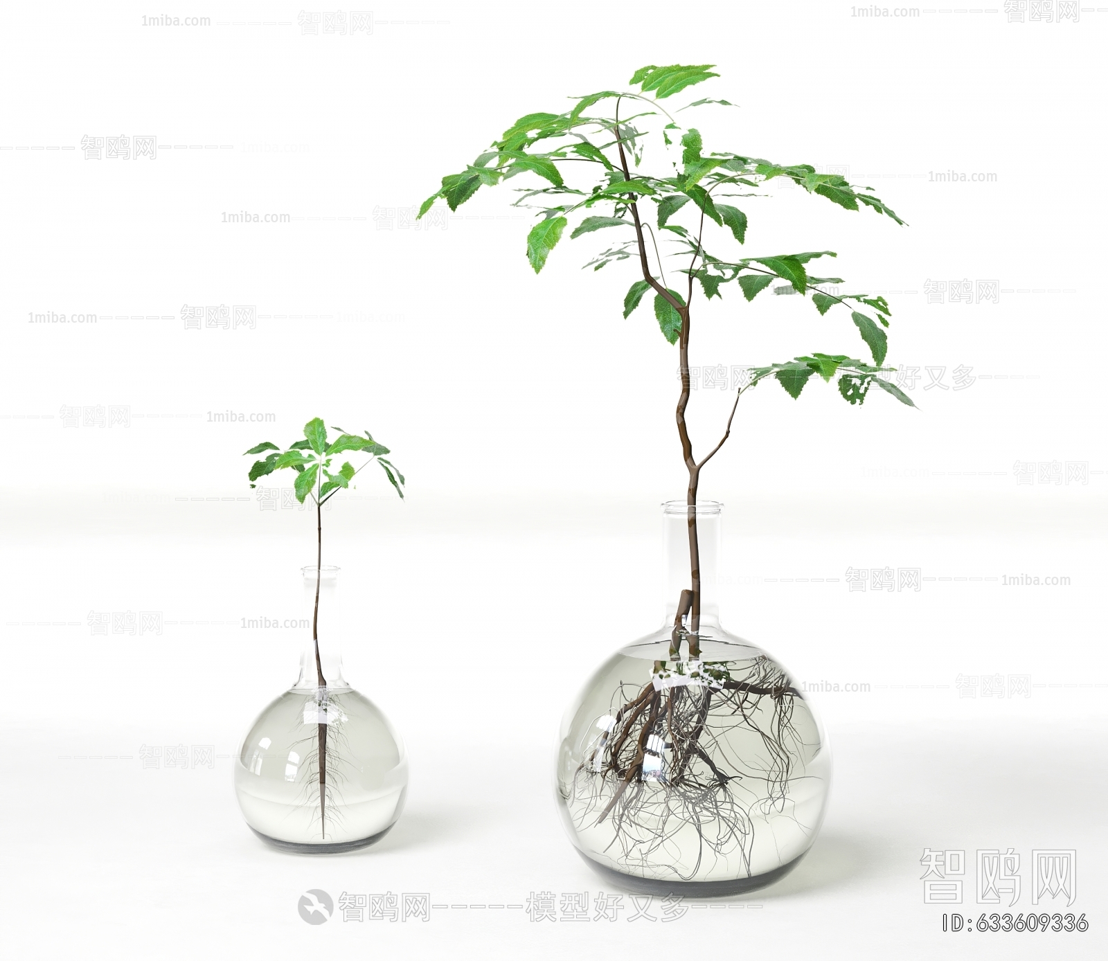 Modern Aquatic Green Plant