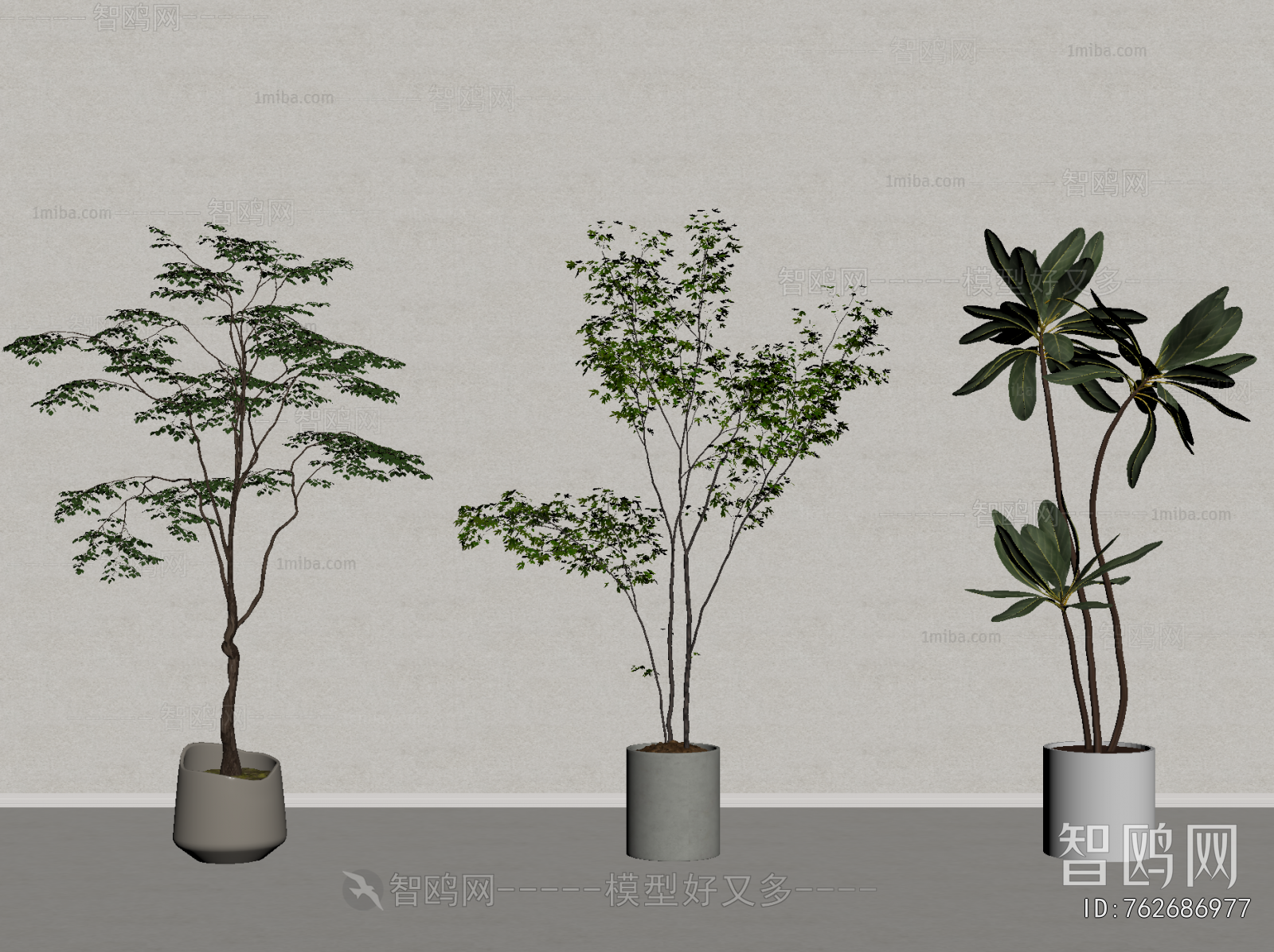 Modern Ground Green Plant Potted Plants