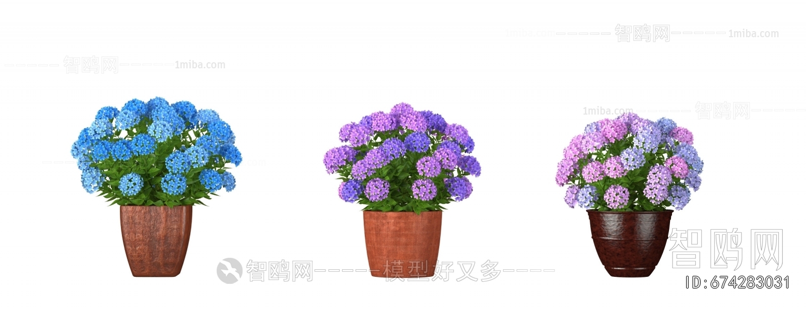 Modern Potted Green Plant