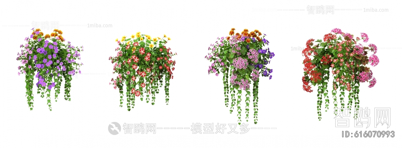 Modern Chlorophytum Comosum