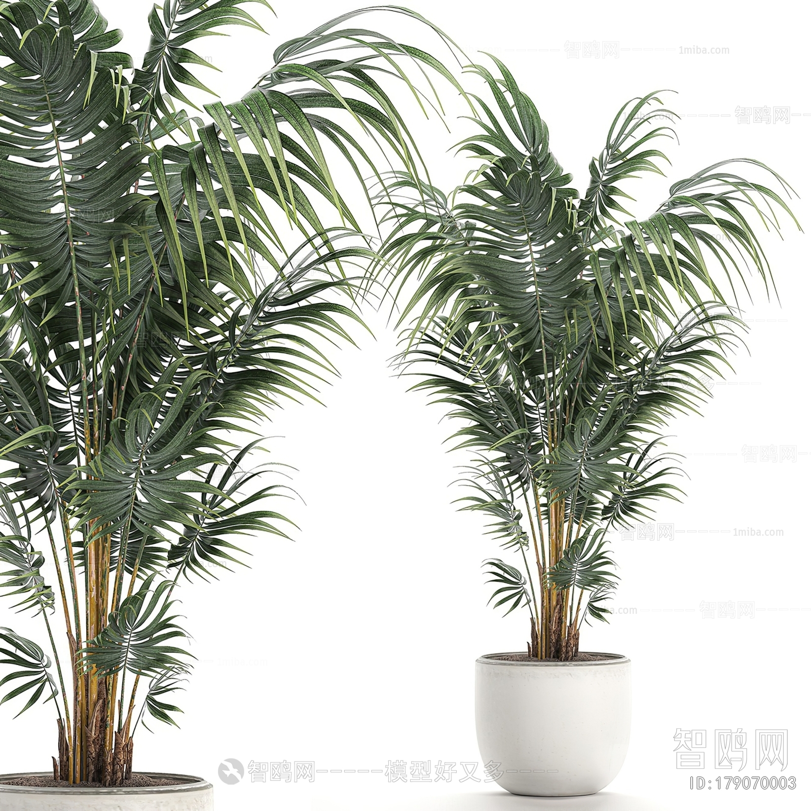 Modern Ground Green Plant Potted Plants