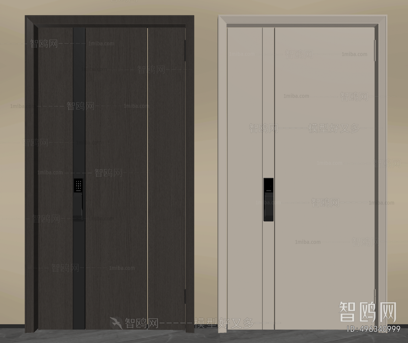 Modern Entrance Door