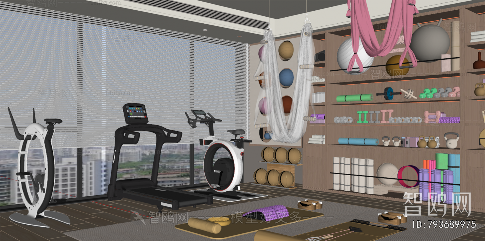 Modern Home Fitness Room