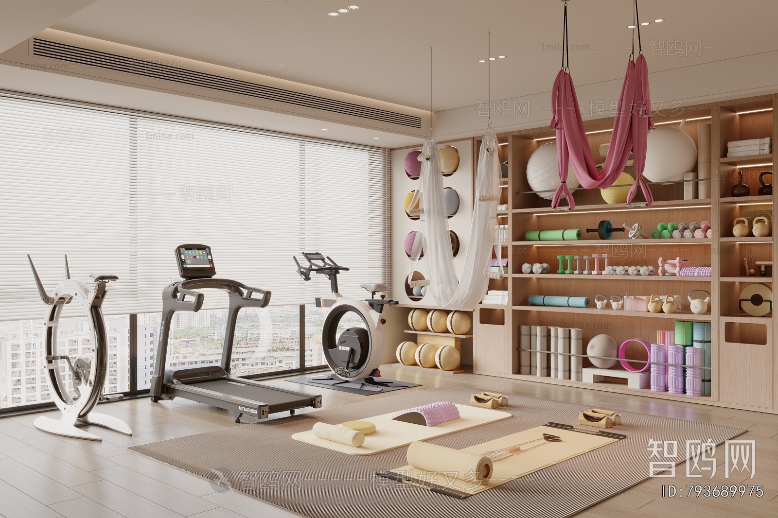 Modern Home Fitness Room