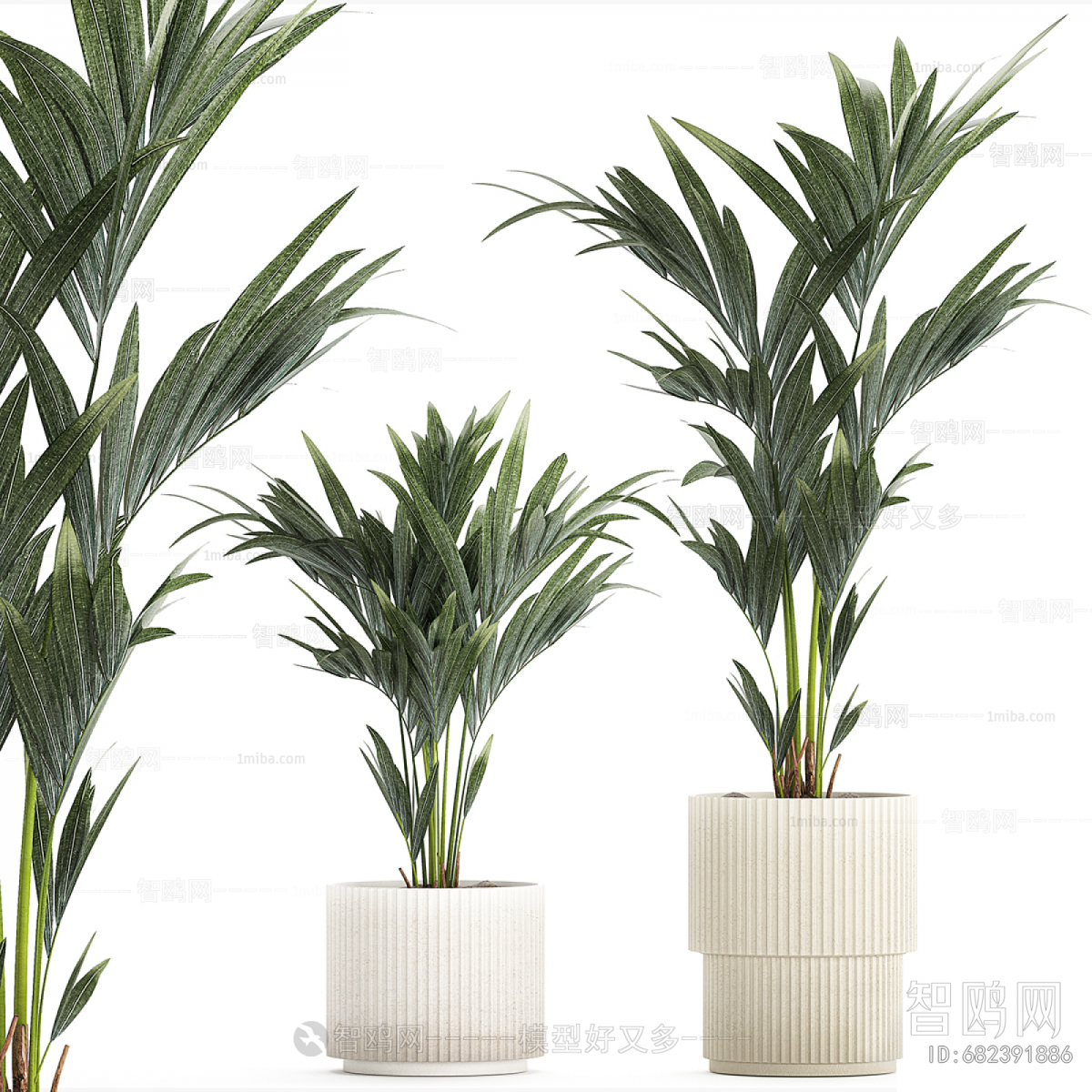 Modern Ground Green Plant Potted Plants