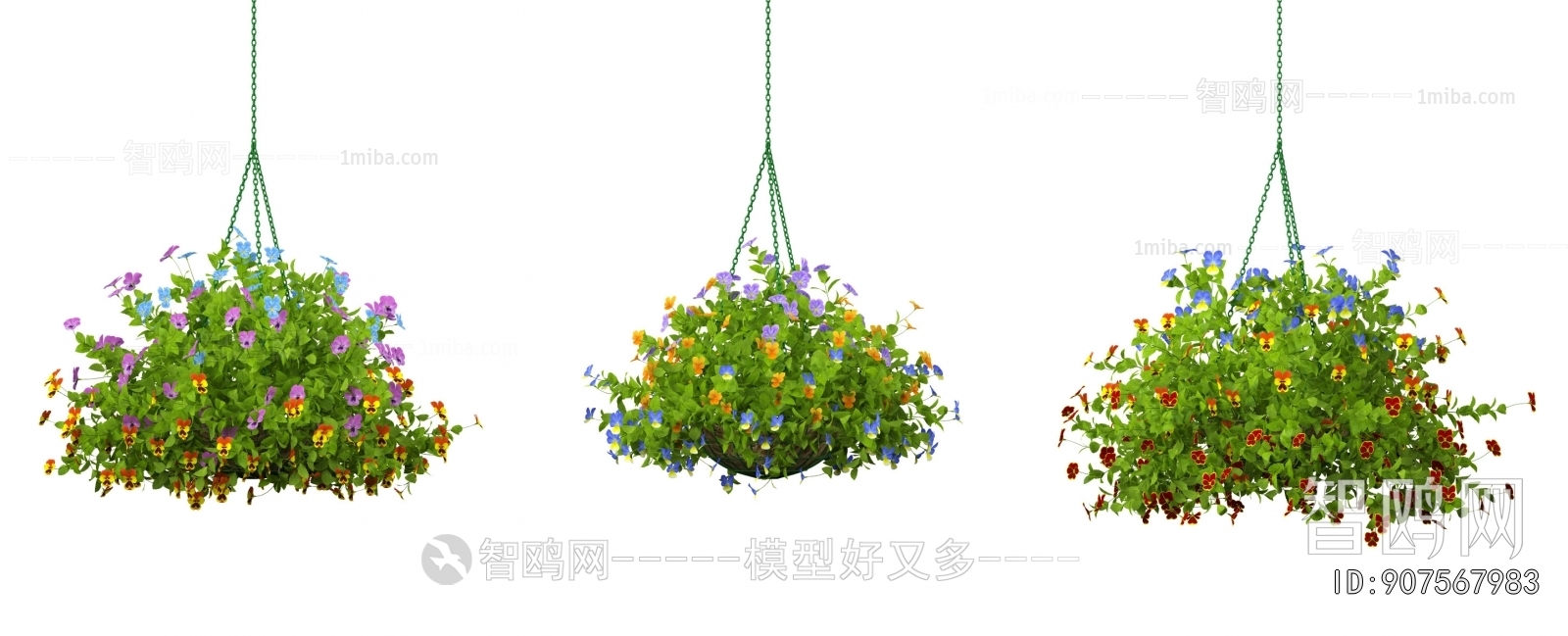 Modern Chlorophytum Comosum