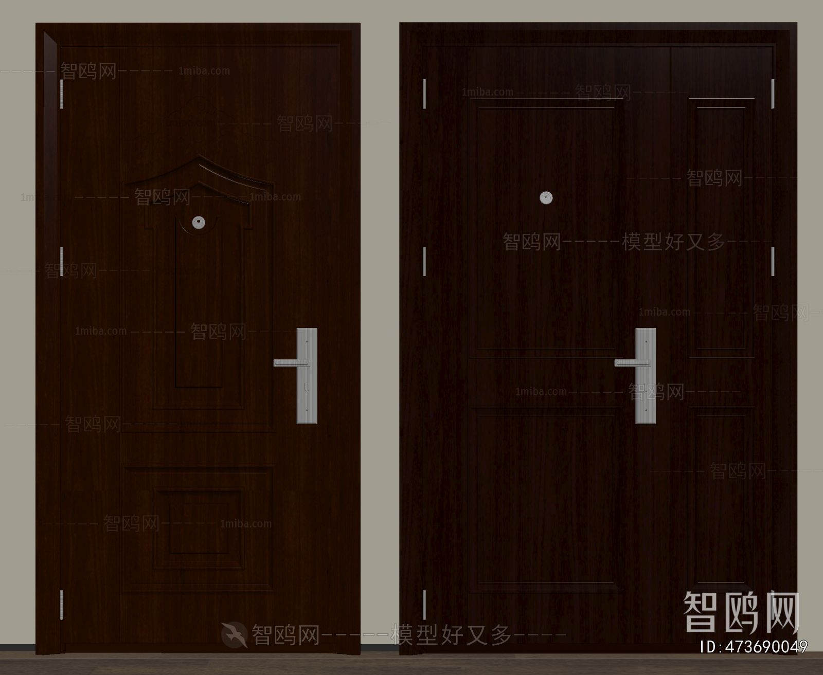 Modern Entrance Door