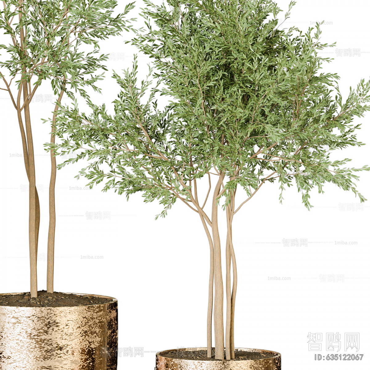 Modern Ground Green Plant Potted Plants