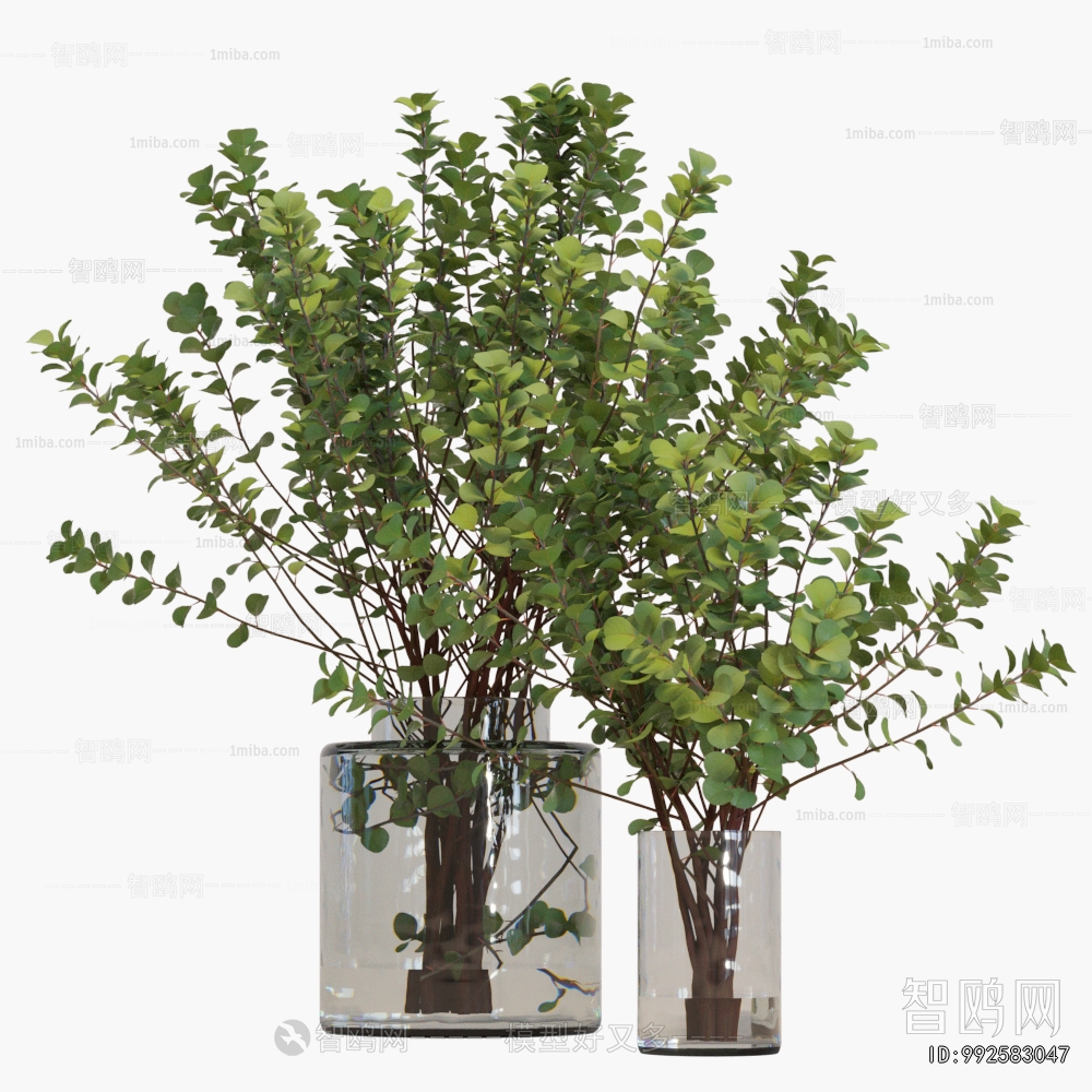 Modern Aquatic Green Plant