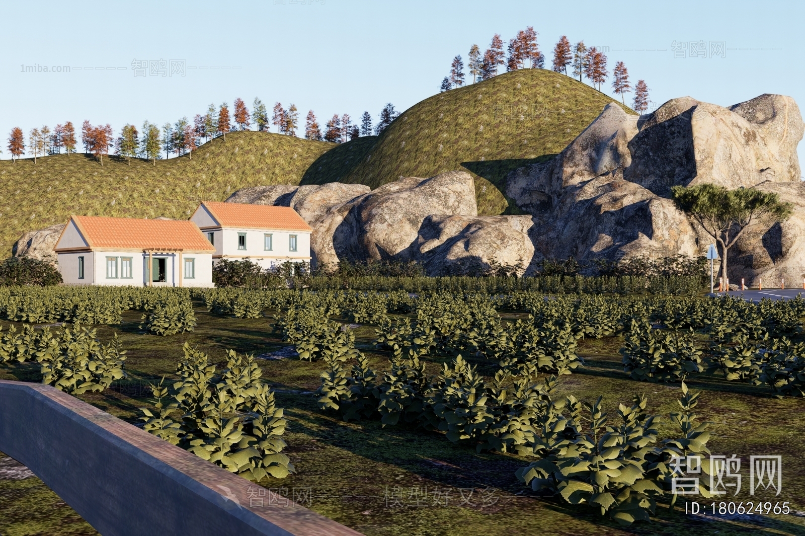 Modern Residential Building